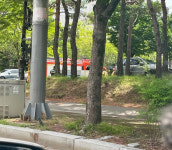 광주시청 앞 교차로서 SUV-시내버스 충돌
