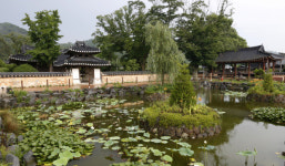 이돈삼의 마을 이야기>전통과 선비정신이 살아 숨쉬는 도래마을