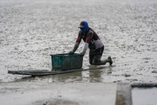 생태계 보고 순천갯벌…가을 행사 다채