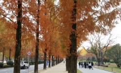 전남대 민주길 투어