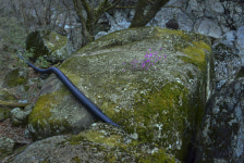 박하선의 사진풍경 233>빗점골의 이현상 바위