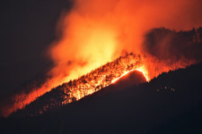 하루 만에 산불 16건… 대전·세종·충남 산불위기경보 심각