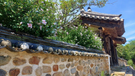 이돈삼의 마을 이야기>서원을 보고 옛 성곽 떠올리며 솔방솔방 돌아보는 곳