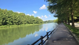 폭염에 찾은 아름다운 숲 담양 관방제림