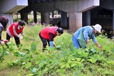 광주신세계, 에코 플로깅 등 친환경 캠페인 앞장