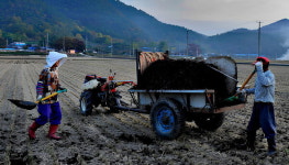 전남도, 유기질비료 지원 추가 접수…친환경 농업 확산