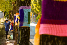 무등산에 찾아온 늦가을 단풍