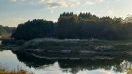 이돈삼의 마을이야기〉곡성의 강 가운데 섬, 제월섬을 만나보자