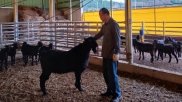 무농약 사료·농가 연대…귀농 성공모델 주목