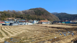 이돈삼의 마을이야기〉보글보글 방울샘…장성 영천리의 시간과 전설
