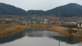이돈삼의 마을이야기〉홍매화 피는 유배지…임자도 조희룡을 만나다