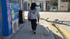 돈 줘도 못 구한다…광주 동물병원 덮친 중동발 주사기 대란