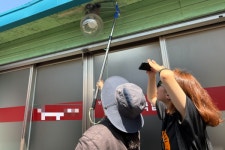 제비도 집 보러 다녀요…광주에 등장한 제비 부동산 중개인
