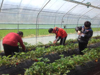 표준협회, 다문화가정 아동과 함께 농촌에서 한국 문화 배워요