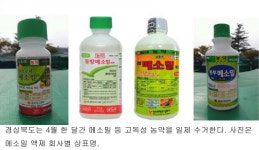 경북도, 고독성 농약 ‘메소밀’ 없앤다