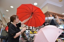 [대구 유통소식]대구/동아/롯데/현대백화점