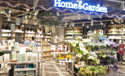 [대구 유통소식]대구/동아/현대/롯데백화점