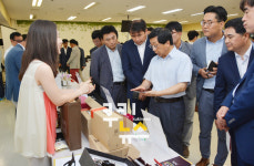 [대구 유통소식]대구/동아/롯데/현대백화점