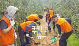 대구본부세관, 울산 태풍피해 복구 등 봉사활동