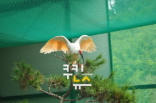경남도 ‘미래 50년 환경경남’ 실현 신규정책 발표…4개 분야 3527억원 투입