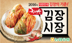 농협하나로마트, 김장 재료 최대 ‘반값’ 할인