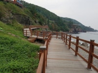 포항 칠포~오도, 동해안 연안녹색길 열리다