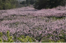 “대구, 어디까지 가봤니?”