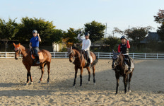 “창녕 우포늪에 승마장이?”…2011년 개장 창녕 우포승마장 ‘인기’
