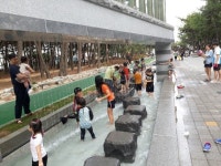 포항 송도 송림테마거리, 도심속 힐링숲 인기