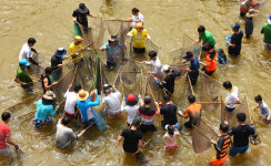 봉화군  뜨거운  여름  시원한  봉화로