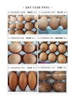 살충제 계란 09지현·08신선농장·11시온·13정화도 추가