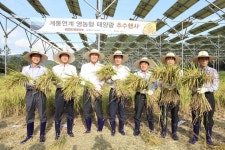 고성군-한국남동발전, 농사·태양광발전 공존시대 개막…국내 최초 영농형 태양광발전 작물수확 성공