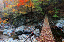 무주군 추석연휴 관광명소 &운영 시설 안내