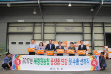 [경남농협] 북창원농협, 단감 첫 수출…1000톤 수출 목표