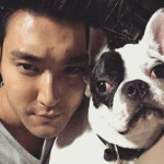 [쿠키영상] 최시원 프렌치불독 사건 비난 여론 확산…변혁의 사랑 시청자게시판, 최시원 하차 요구 봇물