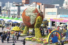 창원 마산가고파국화축제 ‘인기몰이’…개막 닷새만 60만 명 돌파