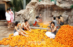 제주워터월드에 국내 최초로 ‘감귤 스파’ 등장