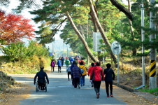 봉화군 물야면 화합과 소통의 장 마련을 위한 걷기대회