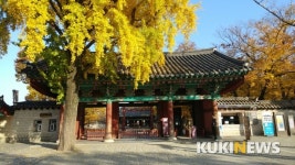 가을 빛으로 물들어가는 전주한옥마을 그리고 전동성당