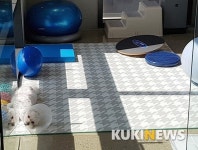 [반려동물 이야기④] 병원에서 14번째 생일을 보낸 포포