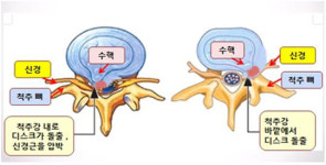 [우리동네 주치의] 더조은병원 도은식 원장 “환자를 내 가족처럼”