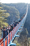 원주 소금산 출렁다리 개통