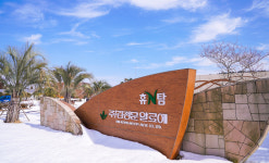 [르포] 生 알로에를 가공하는 ‘김정문알로에 제주공장’