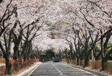 [여기어때]“꽃놀이 데이트는 창원 성산구로 가즈아~”