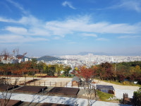 아름다운 대구 도심 야경이 한눈에… 달서별빛캠프 캠핑장 개장