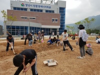양산시 친환경에너지타운 주말농장 개장