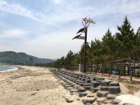 경주 양남 관성솔밭해변 테마길 열려