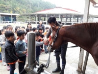 함안군 승마공원, 승마대중화 선도