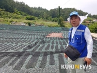 [르포] 36년 상생으로 지켜온 너구리의 맛… 다시마 생산지 ‘금일도’
