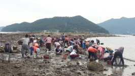 경남 고성군 하일면 임포마을 갯벌 개방